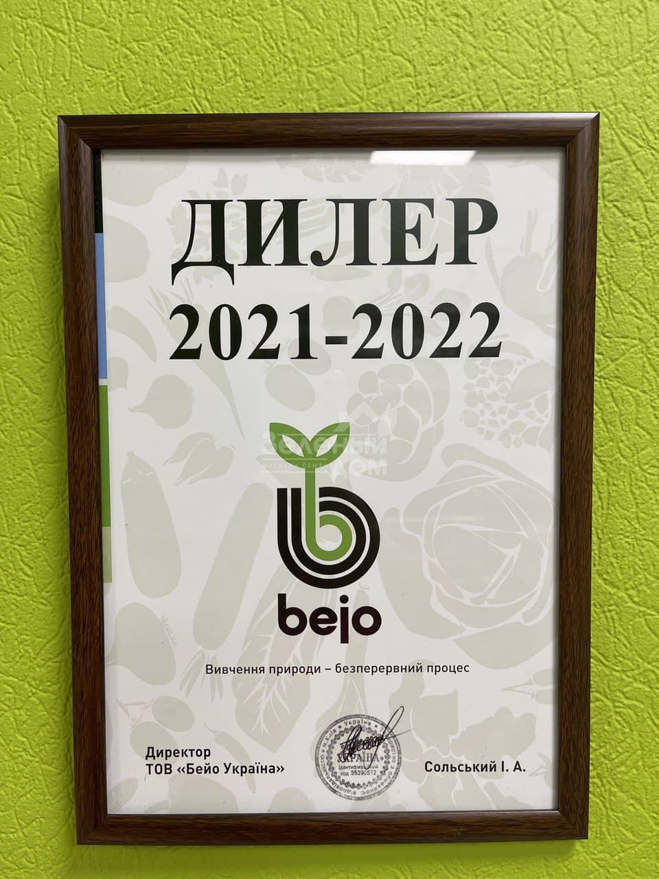 photo_2021-11-06_15-50-50